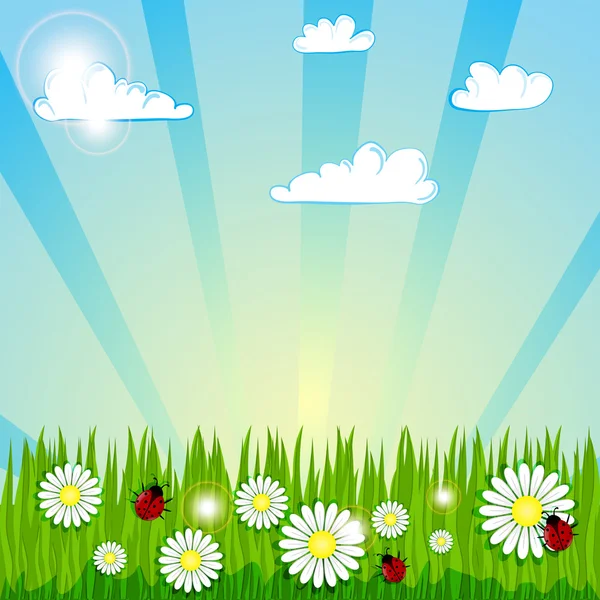 Spring summer background  — 图库矢量图片